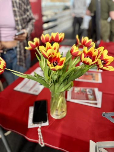 654788155 1737107340880067 3411077255563585891 n